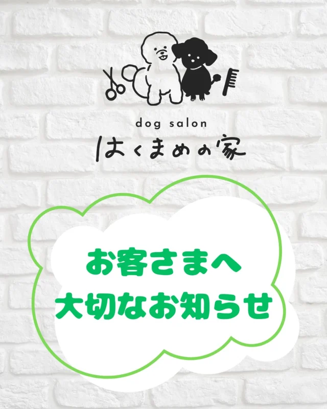 .
トリマーの山﨑です。
いつも当店に足をお運び頂き、ありがとうございます。
先月からご来店頂いたお客様には口頭でお伝えしている内容となりますが、大切なお知らせがございますのでご一読頂けますと幸いです🙇‍♀️ ̖́-‬
⁡
⁡
私事で大変恐縮ではございますが、この度お腹に新しい命を授かりました。
その為、下記の期間で産休を頂くことと致しました。

⁡
産休期間(予定)⁡
2026年3月23日(月) 〜  2026年6月30日(火)

⁡
復帰はあくまで予定にはなりますが、確定次第インスタグラムとホームページにてお知らせ致します。
⁡
また、既存のお客様の予約を優先させて頂く為、
ご新規様の受付を年内にご連絡を頂いた方までで
一旦ストップさせて頂きます。
(紹介でご連絡頂いた方はお受けいたします。)
ご新規様30%offキャンペーンも同時に終了致します。
復帰後、予約が落ち着いた段階でご新規様の予約受付を再開させて頂こうと思っております。
⁡

⁡
出産予定は4月になります。
現在すでに安定期に入っており、体調も良く、トリミングを続けられております。
今後トリミングにお時間を頂戴してしまう場合もあるかと思いますが、ご理解頂けますと幸いです。
⁡
リピートしてくださるお客様が沢山いらっしゃる中、
開店1年というタイミングで休業となってしまい、大変申し訳なく思っております。
できるだけ早く復帰ができるように努めますのでよろしくお願い致します。
⁡
他店様へトリミングに出される場合はカット内容など、
お伝えしますのでお気軽にお声掛けください。
⁡
𖤣𖤥𖠿𖤣𖤥𓂃◌𓈒𓐍𓂃𓈒𓂂✿.*･𖤣𖤥𖠿𖤣𖤥𓂃◌𓈒𓐍𓂃𓈒𓂂✿.*･

dog salon はくまめの家

千葉県野田市七光台71-9

TEL  050-1724-8906

ご予約やお問い合わせはLINEから！
ID  @296oprzy

𖤣𖤥𖠿𖤣𖤥𓂃◌𓈒𓐍𓂃𓈒𓂂✿.*･𖤣𖤥𖠿𖤣𖤥𓂃◌𓈒𓐍𓂃𓈒𓂂✿.*･

#はくまめの家#トリミング#野田市トリミング#七光台#犬#トイプードル#プードルカット#看板犬#はくまい#くろまめ#いぬすたぐらむ#愛犬#テディベア#デザインカット#アフロカット#カット#dog#trimming#トリマー#休業