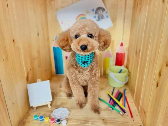 .
今月のフォトブーステーマは画家さんのアトリエ👨‍🎨🎨
⁡
モデルはぽんずちゃん🐶
パパさんラブなぽんずちゃん。
パパさんもぽんずちゃんをとっても可愛がっていて
2人を見ているといつもほっこりしてしまいます☺️
⁡
𖤣𖤥𖠿𖤣𖤥𓂃◌𓈒𓐍𓂃𓈒𓂂✿.*･𖤣𖤥𖠿𖤣𖤥𓂃◌𓈒𓐍𓂃𓈒𓂂✿.*･

dog salon はくまめの家

千葉県野田市七光台71-9

TEL  050-1724-8906

ご予約やお問い合わせはLINEから！
ID  @296oprzy

𖤣𖤥𖠿𖤣𖤥𓂃◌𓈒𓐍𓂃𓈒𓂂✿.*･𖤣𖤥𖠿𖤣𖤥𓂃◌𓈒𓐍𓂃𓈒𓂂✿.*･

#はくまめの家#トリミング#野田市トリミング#七光台#犬