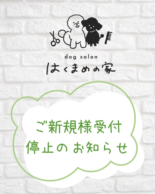 .
いつもご来店ありがとうございます🌼.*

7月より営業を再開し、ご新規様の受付も再開しておりましたが、予定人数に達しました為、新規受付を再度ストップさせて頂きます。

長らくお待ち頂き、この度ご連絡くださった皆さま、
本当にありがとうございます☺️

育児と両立しながらトリミングを行っておりますので、
ご不便やご迷惑をおかけしてしまうこともあるかもしれませんが、ご理解頂けますと幸いです。

これからも末永くお付き合い頂けましたら、
とても嬉しく思います🌱‬‪

なお、新規受付の再開時期は現在のところ未定となっております。

ご理解の程、よろしくお願い致します🙇‍♀️
⁡
𖤣𖤥𖠿𖤣𖤥𓂃◌𓈒𓐍𓂃𓈒𓂂✿.*･𖤣𖤥𖠿𖤣𖤥𓂃◌𓈒𓐍𓂃𓈒𓂂✿.*･

dog salon はくまめの家

千葉県野田市七光台71-9

TEL  050-1724-8906

ご予約やお問い合わせはLINEから！
ID  @296oprzy

𖤣𖤥𖠿𖤣𖤥𓂃◌𓈒𓐍𓂃𓈒𓂂✿.*･𖤣𖤥𖠿𖤣𖤥𓂃◌𓈒𓐍𓂃𓈒𓂂✿.*･

#はくまめの家#トリミング#野田市トリミング#七光台#犬