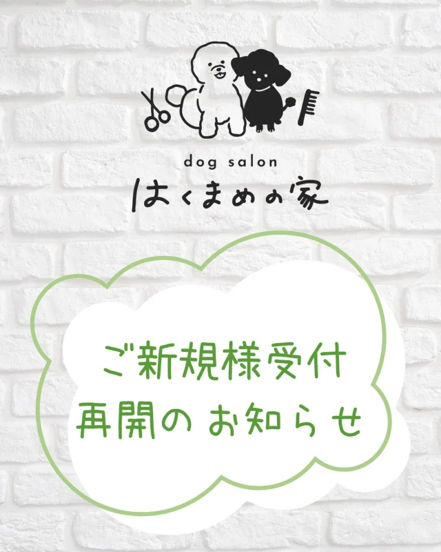 .
【ご新規様受付再開のお知らせ】

いつもありがとうございます🐾

しばらくご新規様の受付をお休みしておりましたが、この度少人数限定で受付を再開致します。

休業前からお問い合わせ頂き、お待ちくださっていたお客様をご案内できればと思い、受付を再開することに致しました。

一人で営業している為、ご案内できる頭数はごく僅かとなります💦
数件のお問い合わせで受付を終了させて頂く予定ですので、ご検討中の方はお早めにご連絡を頂ければと思います。

ご理解いただけますと幸いです。
今後ともどうぞよろしくお願い致します🐶✨
⁡
𖤣𖤥𖠿𖤣𖤥𓂃◌𓈒𓐍𓂃𓈒𓂂✿.*･𖤣𖤥𖠿𖤣𖤥𓂃◌𓈒𓐍𓂃𓈒𓂂✿.*･

dog salon はくまめの家

千葉県野田市七光台71-9

TEL  050-1724-8906

ご予約やお問い合わせはLINEから！
ID  @296oprzy

𖤣𖤥𖠿𖤣𖤥𓂃◌𓈒𓐍𓂃𓈒𓂂✿.*･𖤣𖤥𖠿𖤣𖤥𓂃◌𓈒𓐍𓂃𓈒𓂂✿.*･

#はくまめの家#トリミング#野田市トリミング#七光台#犬