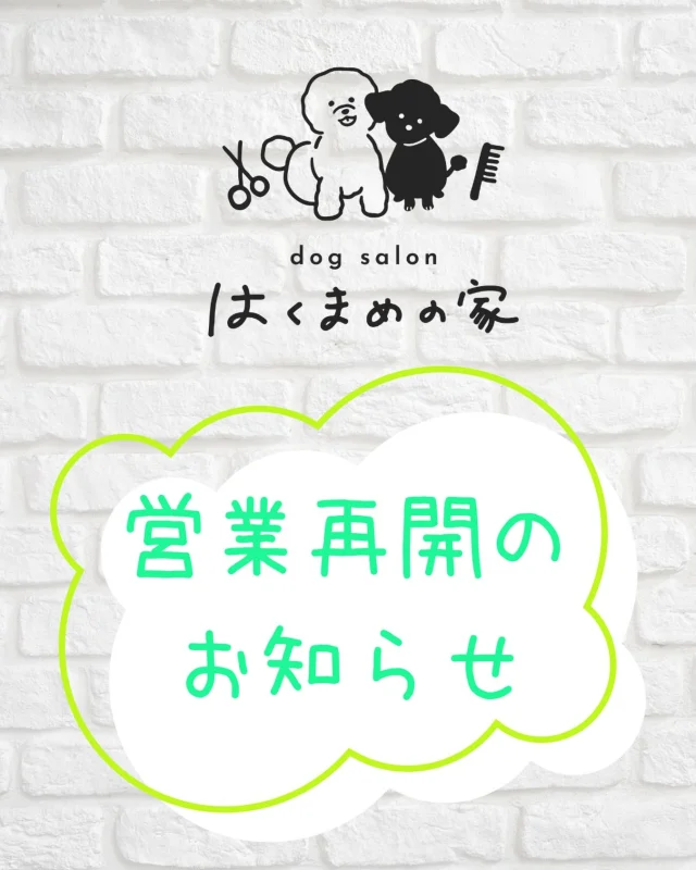 .
【営業再開のお知らせ】
⁡
いつも当店をご利用頂きありがとうございます🐾
⁡
産休の為お休みを頂いておりましたが、
無事に出産を終え、身体も回復してまいりましたので

 【7月1日】
⁡
より営業を再開致します。
⁡
お休みの期間中はご不便をお掛け致しましたが、
温かく見守って頂き本当にありがとうございました🙇‍♀️
⁡
子供は保育園に預けられるように申請をしておりますが、
結果次第では営業日を減らすなど調整をさせて頂く可能性がございます💦
⁡
7月については夫に育休をとってもらいますので
お待たせしてしまったお客様のご予約を少しでも多くお受けしたいと思っております。

⁡久しぶりにお客様とわんちゃんにお会いできることを楽しみにしております✨
ぜひご連絡をお待ちしております！！
⁡

𖤣𖤥𖠿𖤣𖤥𓂃◌𓈒𓐍𓂃𓈒𓂂✿.*･𖤣𖤥𖠿𖤣𖤥𓂃◌𓈒𓐍𓂃𓈒𓂂✿.*･

dog salon はくまめの家

千葉県野田市七光台71-9

TEL  050-1724-8906

ご予約やお問い合わせはLINEから！
ID  @296oprzy

𖤣𖤥𖠿𖤣𖤥𓂃◌𓈒𓐍𓂃𓈒𓂂✿.*･𖤣𖤥𖠿𖤣𖤥𓂃◌𓈒𓐍𓂃𓈒𓂂✿.*･

#はくまめの家#トリミング#野田市トリミング#七光台#犬